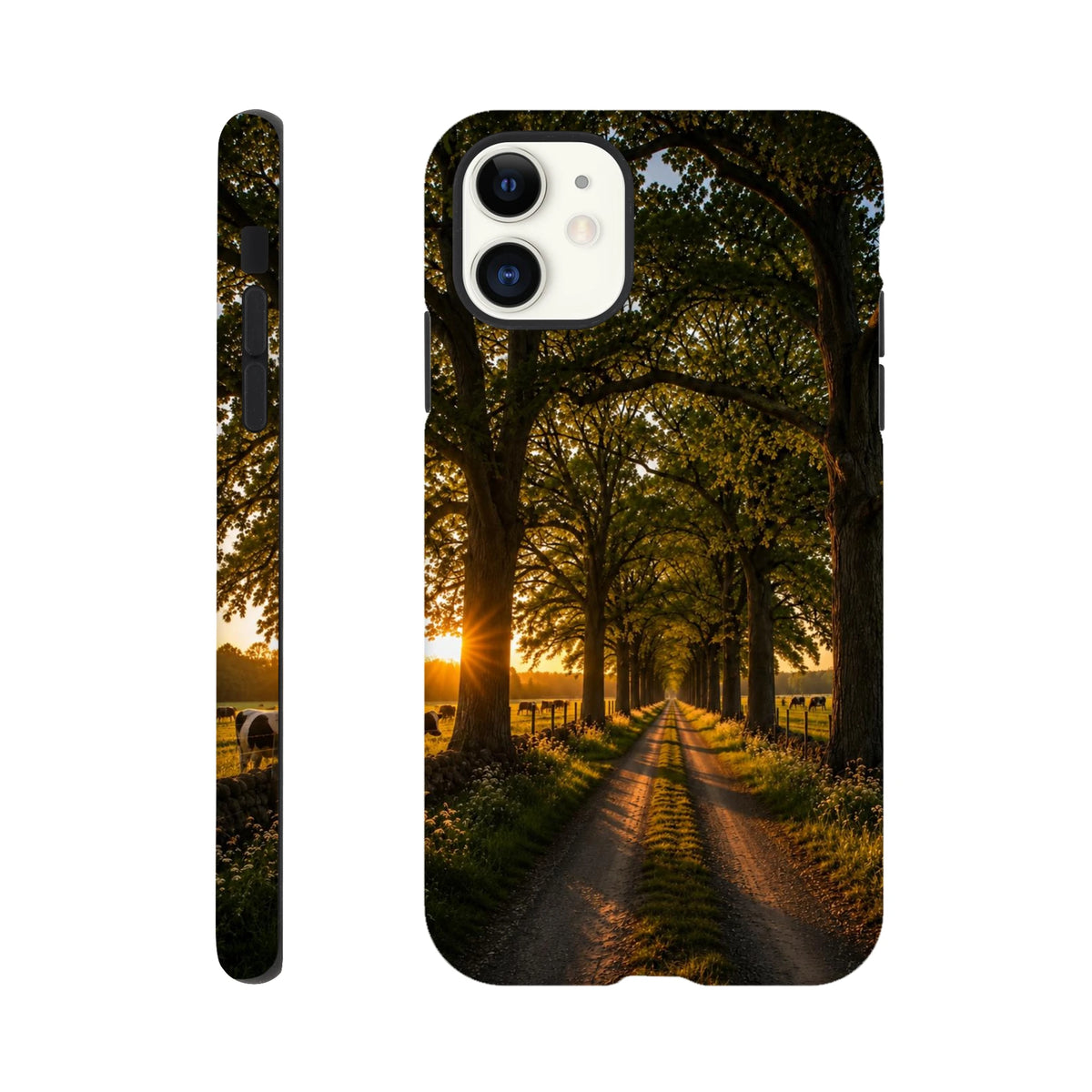 6bb89af4-e369-49a4-be58-bc9b306d3b38
